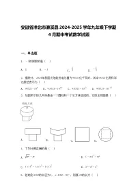 安徽省淮北市濉溪县2024-2025学年九年级下学期4月期中考试数学试题（含答案解析）