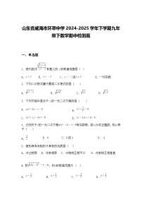 山东省威海市环翠中学2024-2025学年下学期九年级下数学期中检测题（含答案解析）
