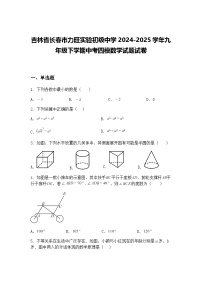 吉林省长春市力旺实验初级中学2024-2025学年九年级下学期中考四模数学试题试卷（含答案解析）
