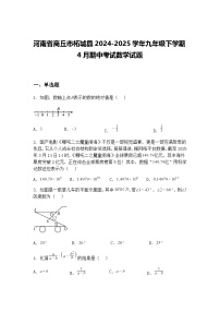 河南省商丘市柘城县2024-2025学年九年级下学期4月期中考试数学试题（含答案解析）