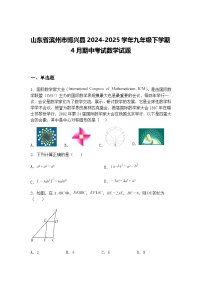 山东省滨州市博兴县2024-2025学年九年级下学期4月期中考试数学试题（含答案解析）