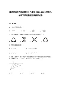 黑龙江省齐齐哈市第二十八中学2024-2025学年九年级下学期期中测试数学试卷（含答案解析）