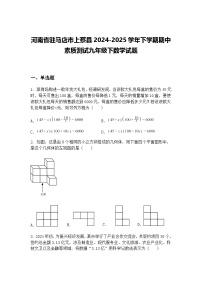 河南省驻马店市上蔡县2024-2025学年下学期期中素质测试九年级下数学试题（含答案解析）