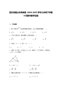 四川省眉山市青神县 2024-2025学年九年级下学期4月期中数学试题（含答案解析）