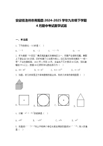安徽省池州市青阳县2024-2025学年九年级下学期4月期中考试数学试题（含答案解析）