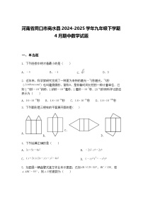 河南省周口市商水县2024-2025学年九年级下学期4月期中数学试题（含答案解析）