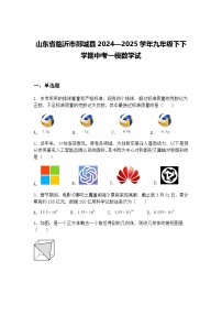 山东省临沂市郯城县2024—2025学年九年级下下学期中考一模数学试卷（含答案解析）