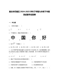 重庆市巴南区2024-2025学年下学期九年级下半期测试数学试题卷（含答案解析）