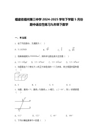 福建省福州第三中学2024-2025学年下学期5月份期中适应性练习九年级下数学（含答案解析）