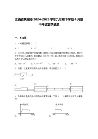 江西省抚州市2024-2025学年九年级下学期4月期中考试数学试题（含答案解析）