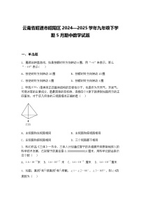 云南省昭通市昭阳区2024—2025学年九年级下学期5月期中数学试题（含答案解析）