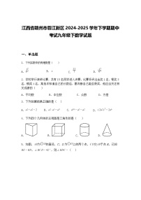 江西省赣州市蓉江新区2024-2025学年下学期期中考试九年级下数学试题（含答案解析）