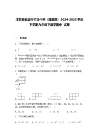 江苏省盐城市初级中学（康居路）2024-2025学年下学期九年级下数学期中 试卷（含答案解析）