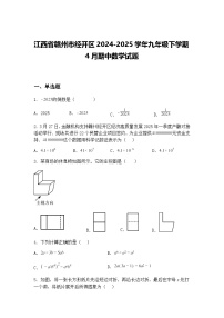 江西省赣州市经开区2024-2025学年九年级下学期4月期中数学试题（含答案解析）