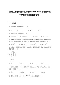 黑龙江省哈尔滨市虹桥中学2024-2025学年九年级下学期中考二模数学试卷 -（含答案解析）