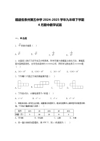 福建省泉州第五中学2024-2025学年九年级下学期4月期中数学试题（含答案解析）