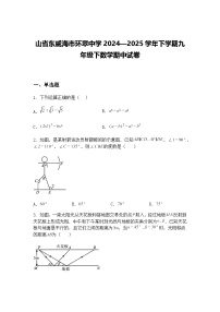 山省东威海市环翠中学2024—2025学年下学期九年级下数学期中试卷（含答案解析）
