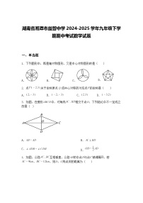 湖南省湘潭市益智中学2024-2025学年九年级下学期期中考试数学试题（含答案解析）