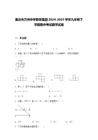 重庆市万州中学教育集团2024-2025学年九年级下学期期中考试数学试题（含答案解析）