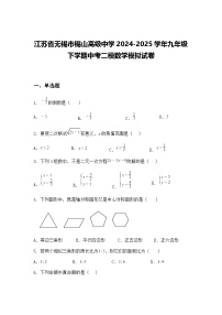 江苏省无锡市锡山高级中学2024-2025学年九年级下学期中考二模数学模拟试卷（含答案解析）