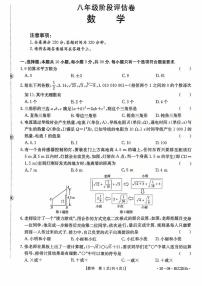 山东省枣庄市峄城区东方学校2025-2026学年八年级上学期10月数学月考卷
