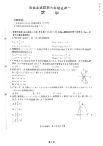 江西省宜春市丰城联盟2025-2026学年上学期九年级数学第一次月考试卷