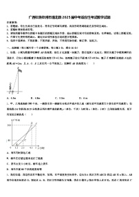 广西壮族钦州市浦北县2025届中考适应性考试数学试题含解析
