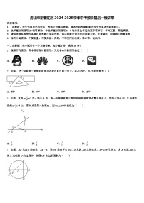 舟山市定普陀区2024-2025学年中考数学最后一模试卷含解析