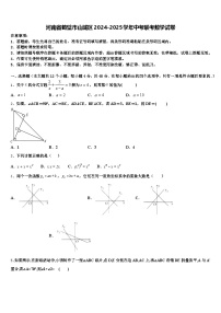 河南省鹤壁市山城区2024-2025学年中考联考数学试卷含解析
