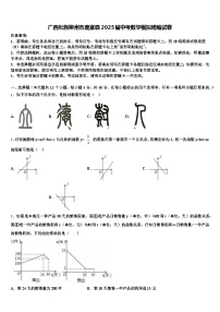 广西壮族柳州市鹿寨县2025届中考数学模拟精编试卷含解析
