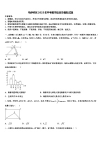 乌伊岭区2025年中考数学适应性模拟试题含解析