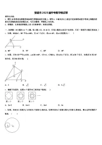楚雄市2025届中考数学模试卷含解析