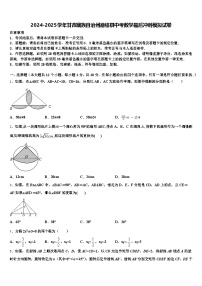 2024-2025学年甘孜藏族自治州德格县中考数学最后冲刺模拟试卷含解析