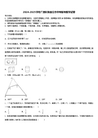 2024-2025学年广西壮族崇左市中考联考数学试卷含解析