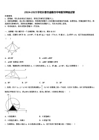 2024-2025学年长春市德惠市中考数学押题试卷含解析