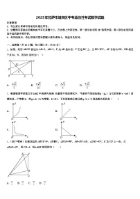 2025年拉萨市城关区中考适应性考试数学试题含解析