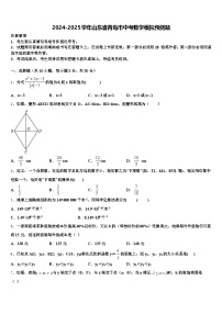 2024-2025学年山东省青岛市中考数学模拟预测题含解析