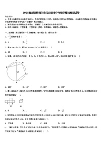 2025届新疆维吾尔克拉玛依市中考数学模拟预测试卷含解析