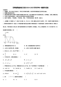 甘肃省陇南地区文县2024-2025学年中考一模数学试题含解析