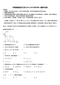 甘肃省陇南地区文县2024-2025学年中考一模数学试题含解析
