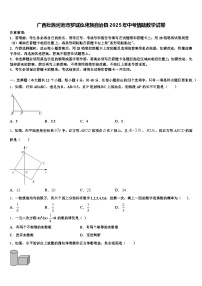 广西壮族河池市罗城仫佬族自治县2025年中考猜题数学试卷含解析