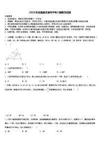 2025年河南省济源市中考三模数学试题含解析