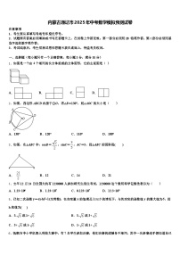 内蒙古通辽市2025年中考数学模拟预测试卷含解析