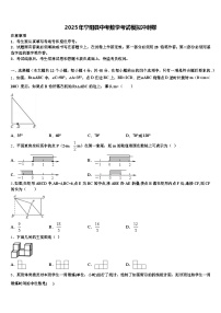 2025年宁阳县中考数学考试模拟冲刺卷含解析