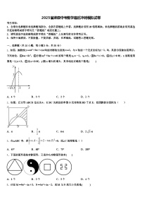 2025届沛县中考数学最后冲刺模拟试卷含解析