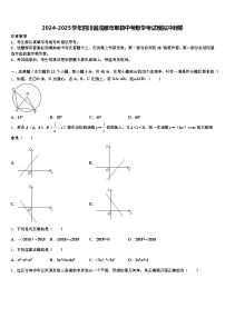 2024-2025学年四川省成都市郫县中考数学考试模拟冲刺卷含解析