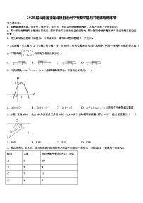 2025届云南省楚雄彝族自治州中考数学最后冲刺浓缩精华卷含解析