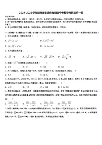 2024-2025学年陕西省安康市旬阳县中考数学考前最后一卷含解析