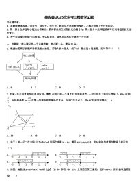 墨脱县2025年中考三模数学试题含解析