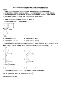 2024-2025学年湖南省株洲市天元区中考四模数学试题含解析